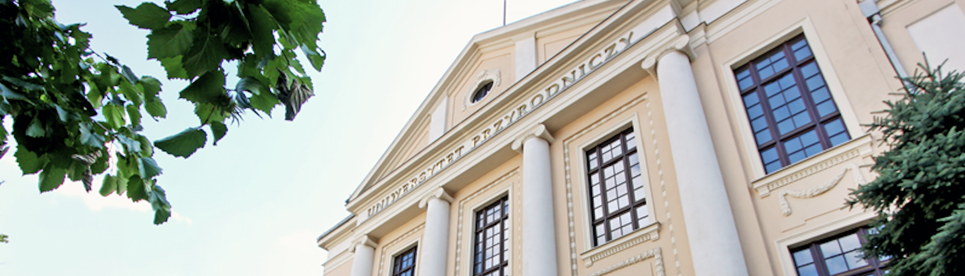 Captura de pantalla 2022 06 15 a las 12.23.58