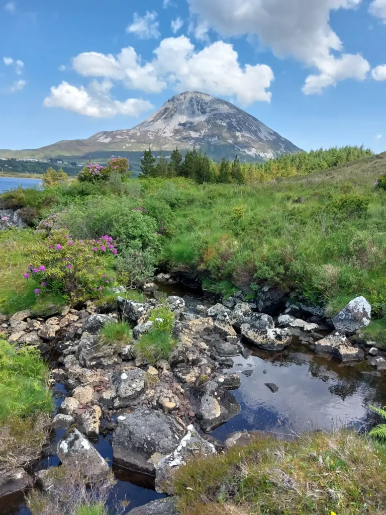 Pic citizen science webinar