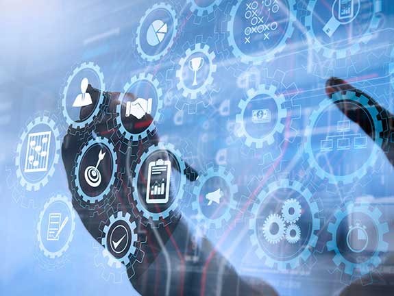 management and coordination